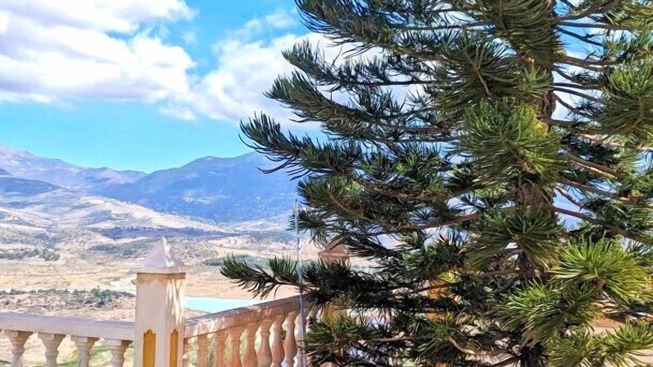 Photo of Outdoor in Vinuela