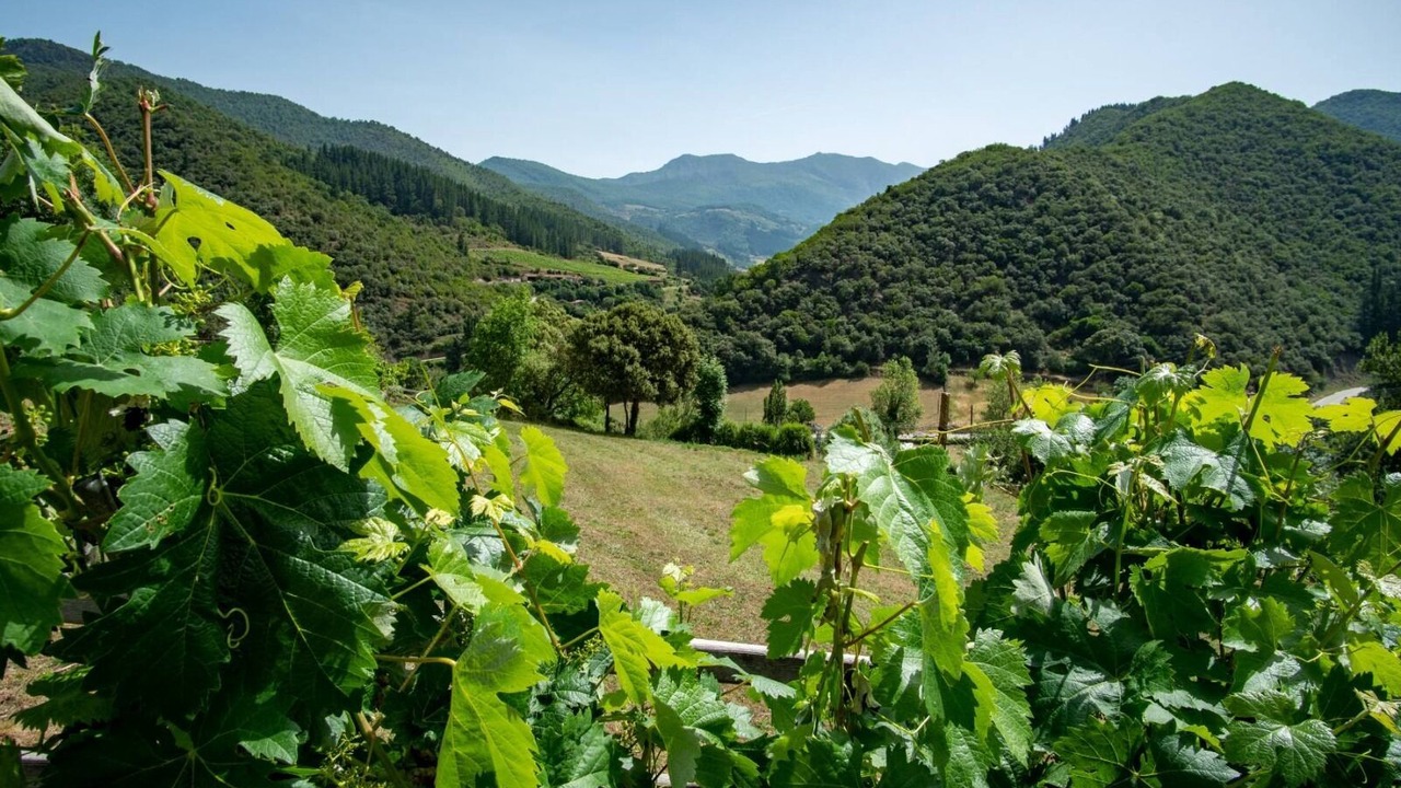 Photo of Outdoor in Frama