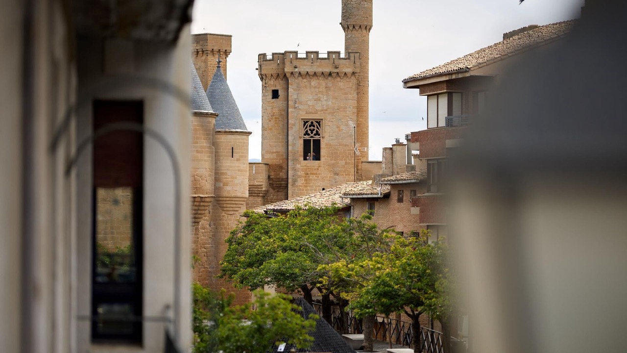 Photo of Others in Olite