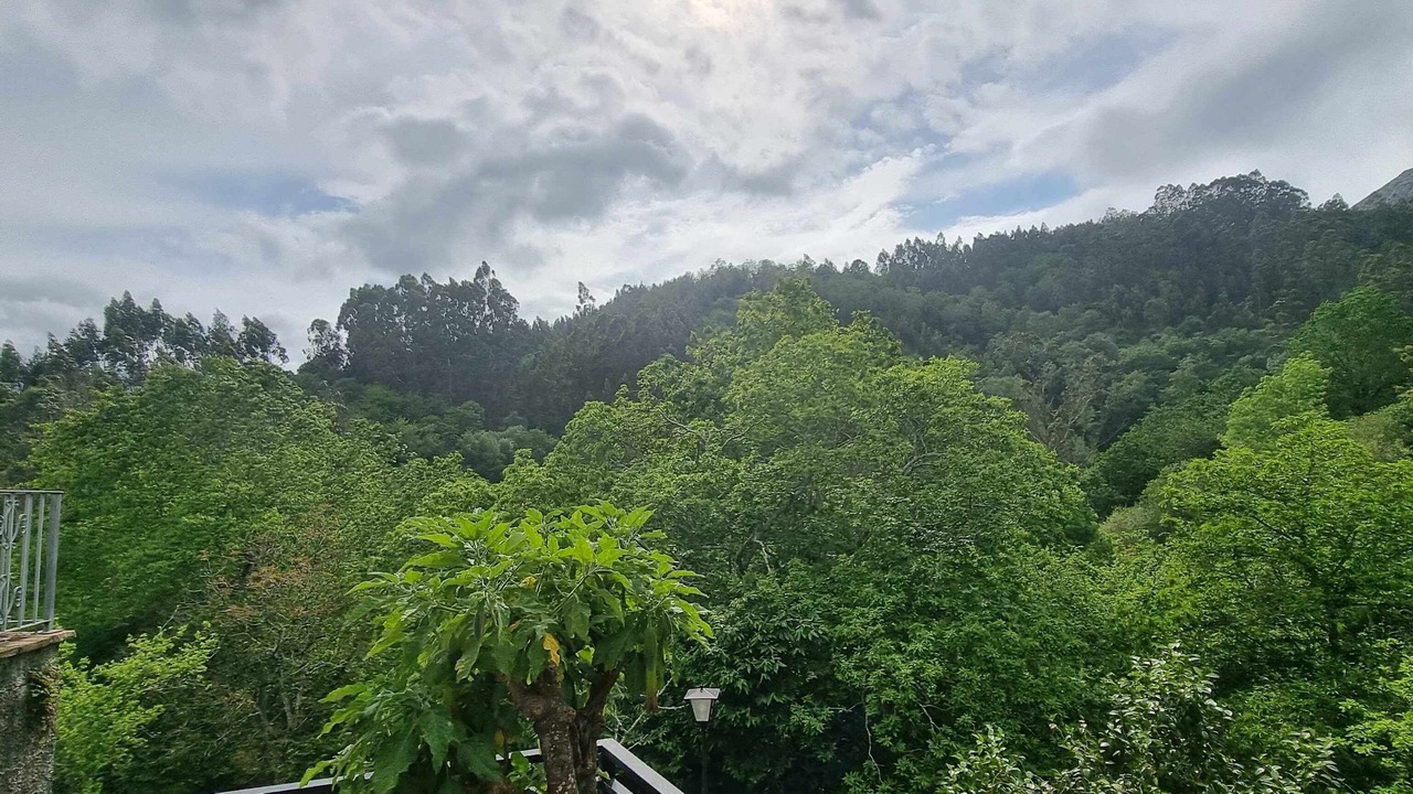 Photo of Outdoor in Puente Nuevo