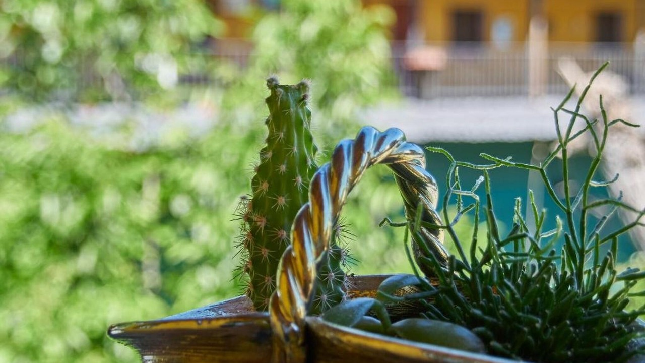 Photo of Outdoor in Villanueva de Valdueza