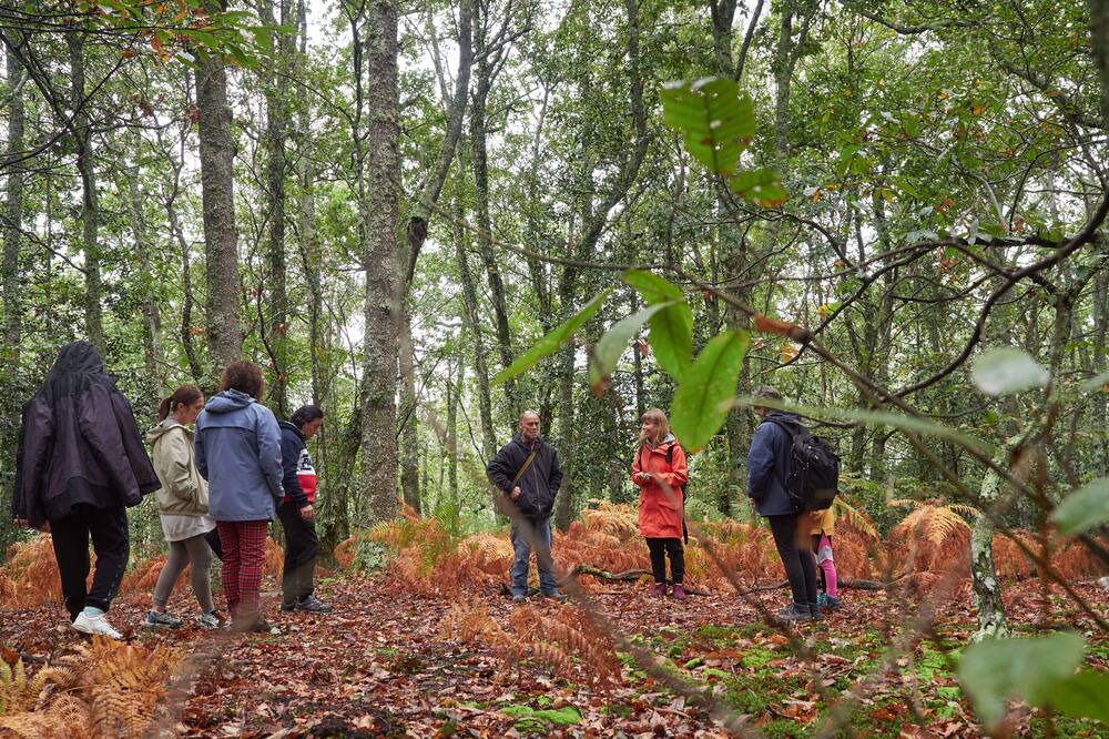 Photo of Others in Boal