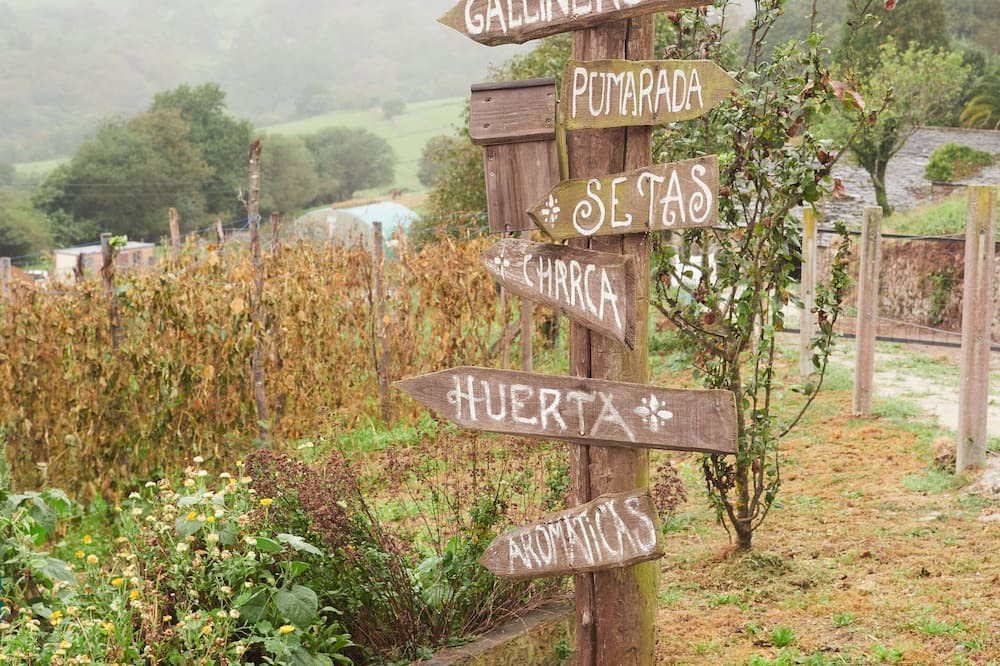 Photo of Outdoor in Boal