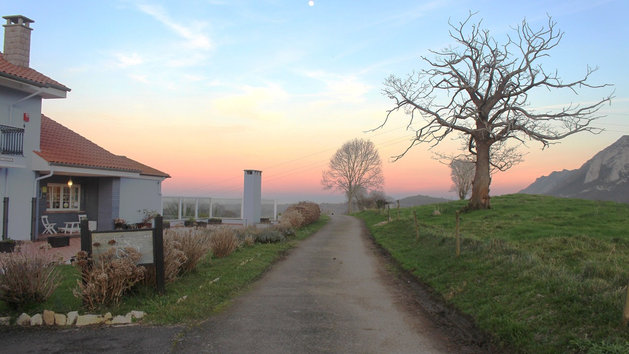 Photo of Outdoor in Ribadesella