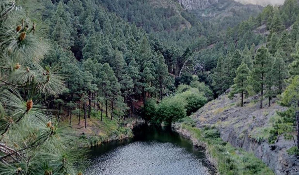 Photo of Others in San Sebastian de la Gomera