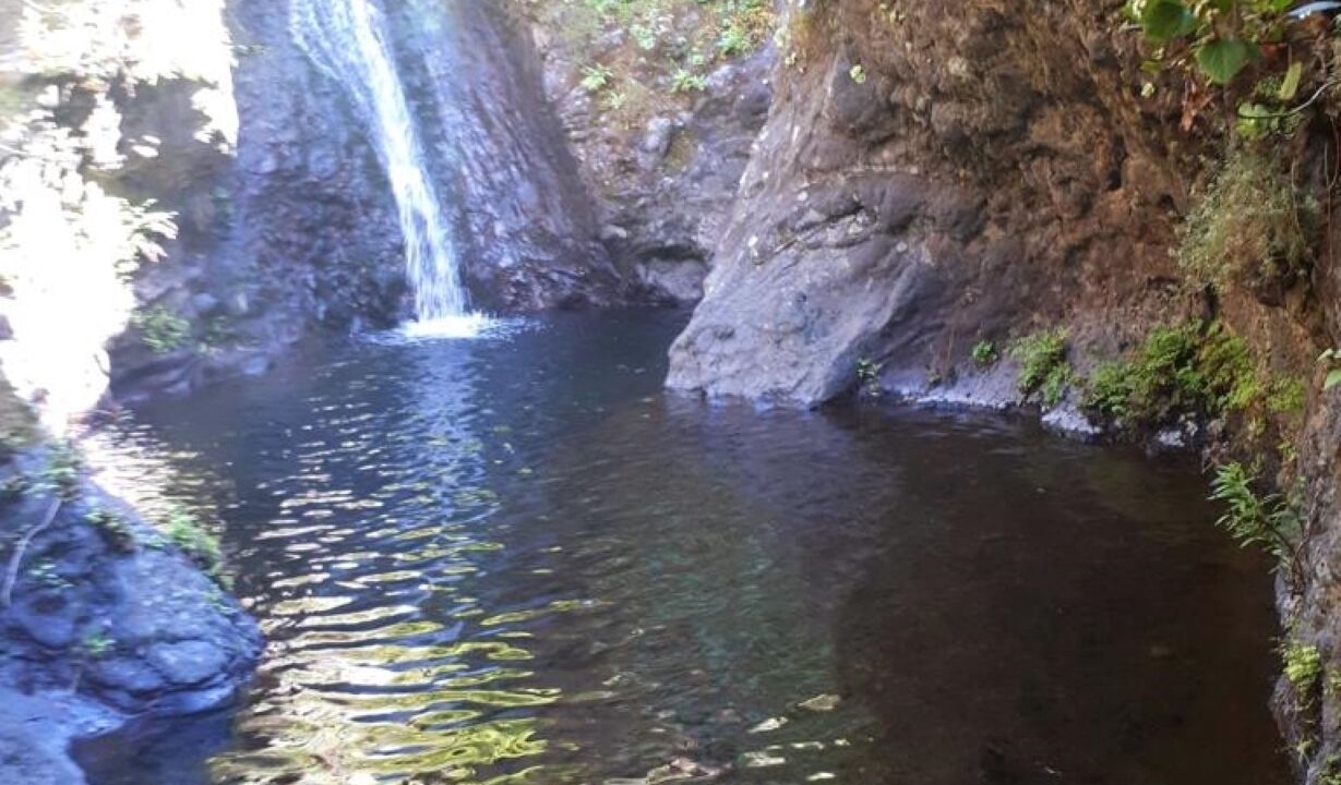 Photo of Others in San Sebastian de la Gomera