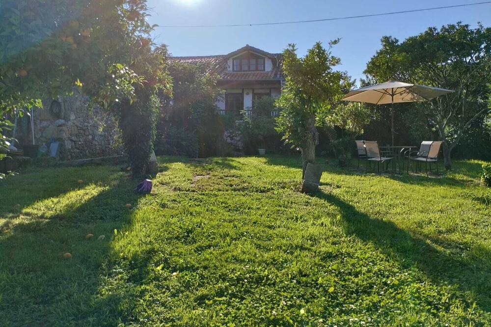 Photo of Outdoor in Novales