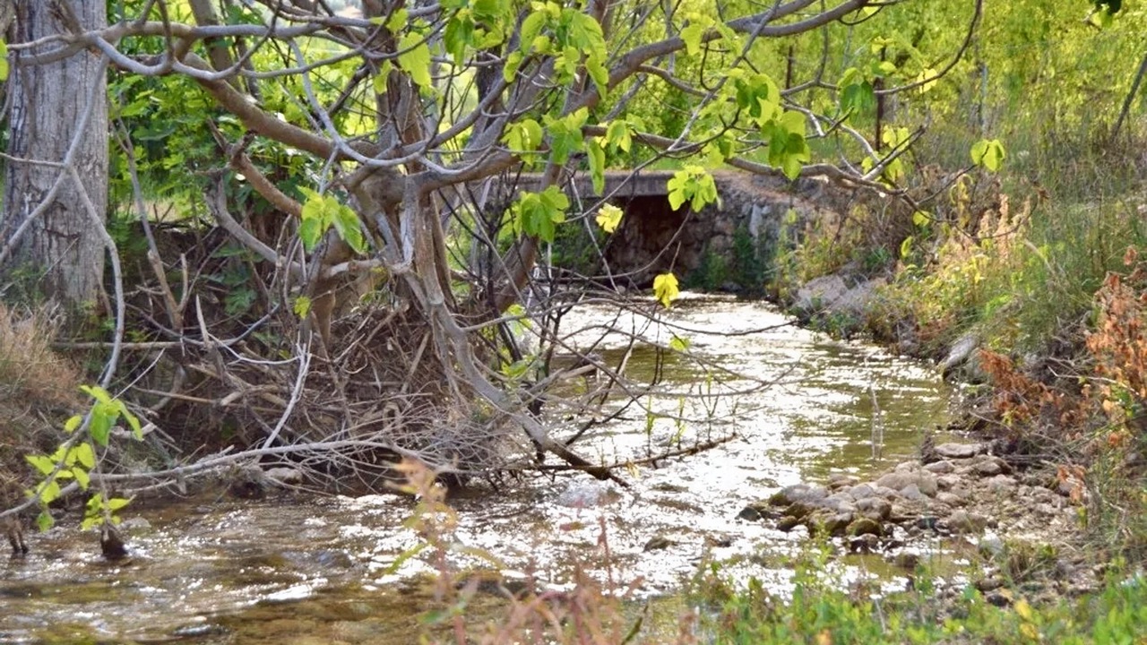 Photo of Outdoor in Siles