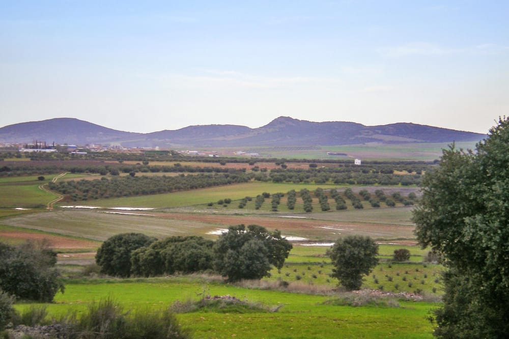 Photo of Others in Castellar de Santiago
