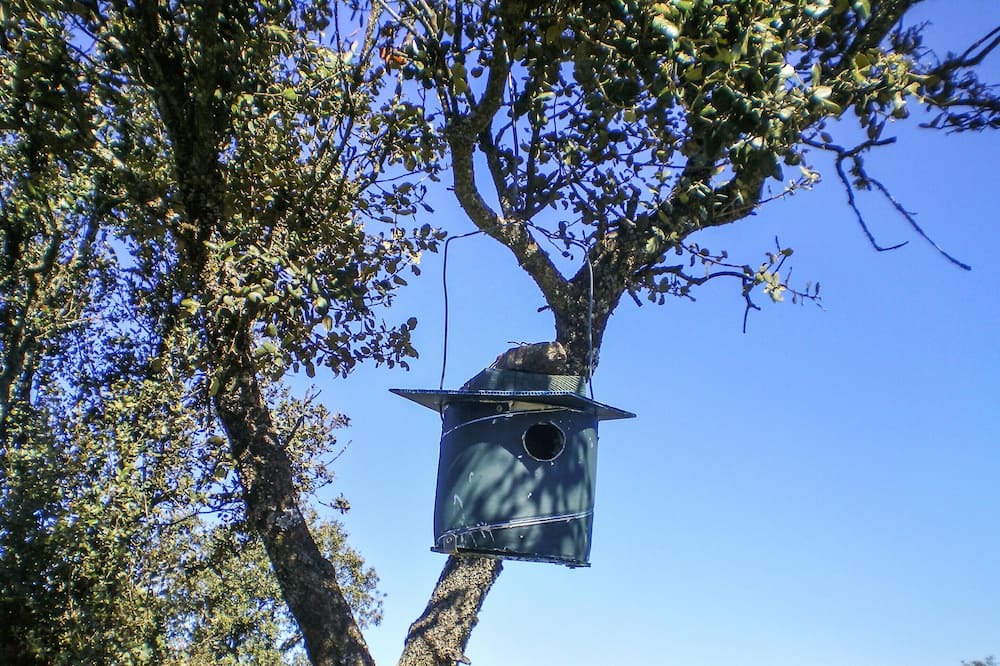 Photo of Others in Castellar de Santiago