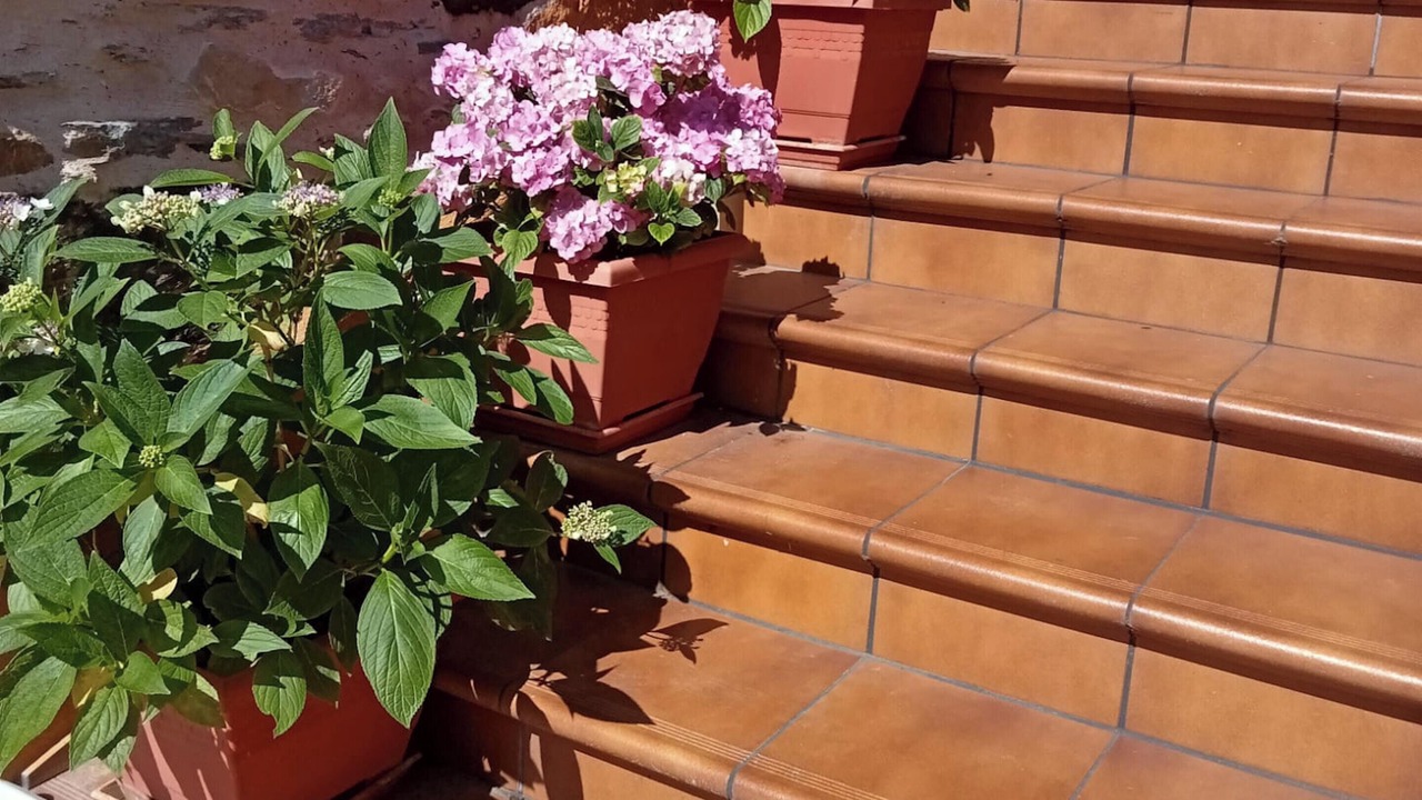Photo of Outdoor in Rozuelo