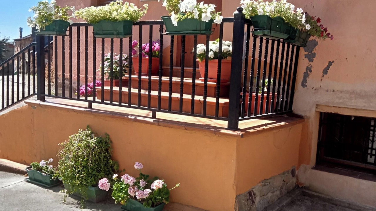 Photo of Outdoor in Rozuelo