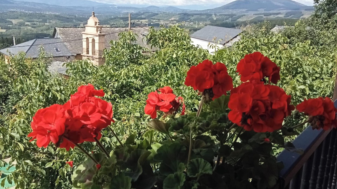 Photo of Outdoor in Rozuelo