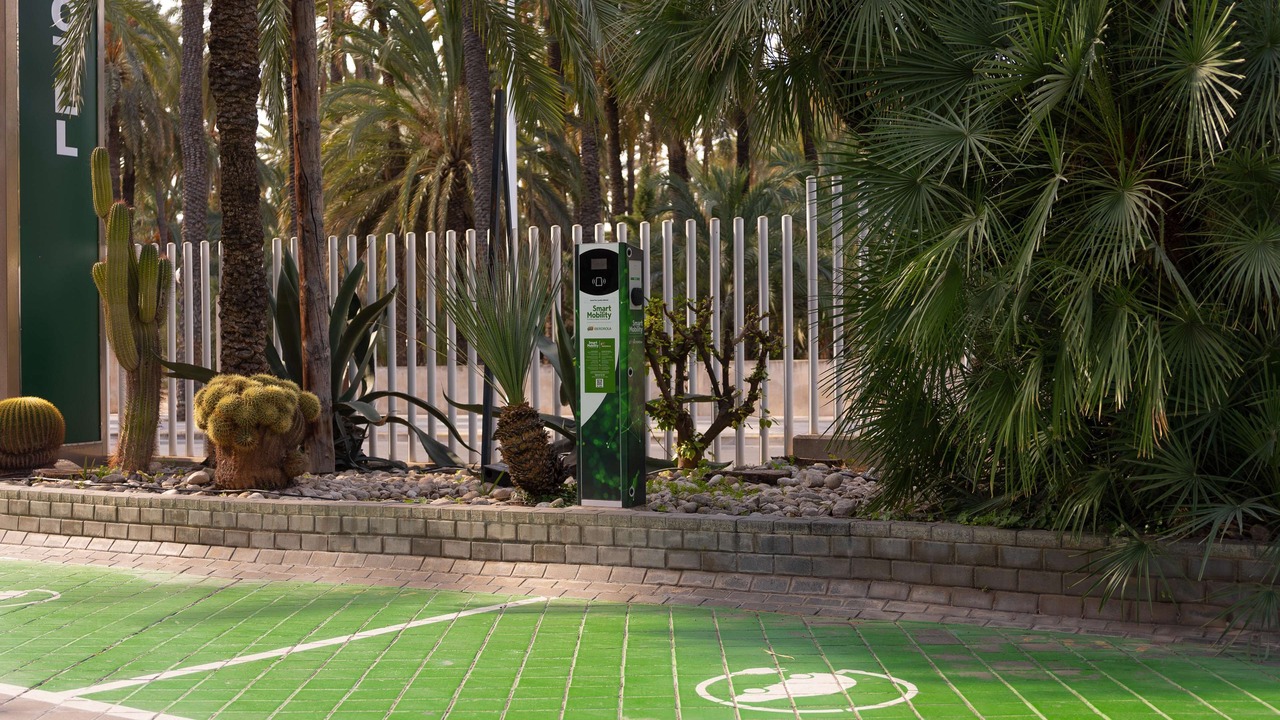 Photo of Outdoor in Elche