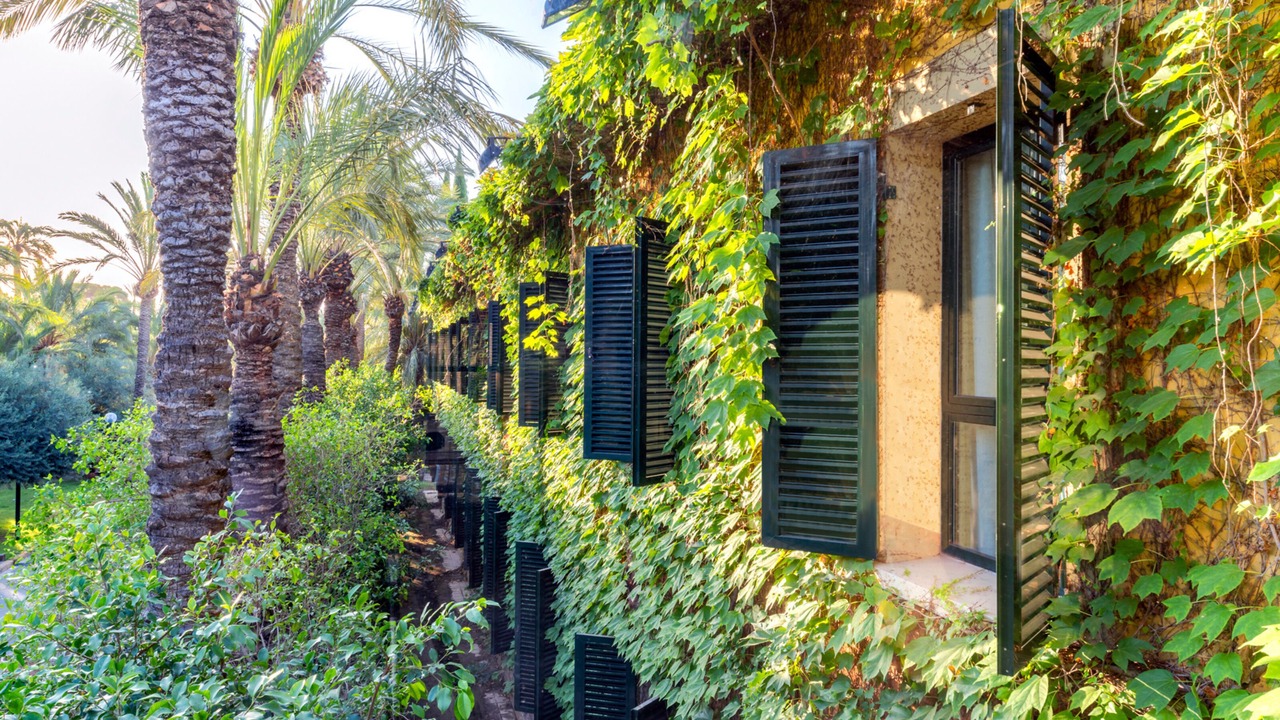 Photo of Outdoor in Elche