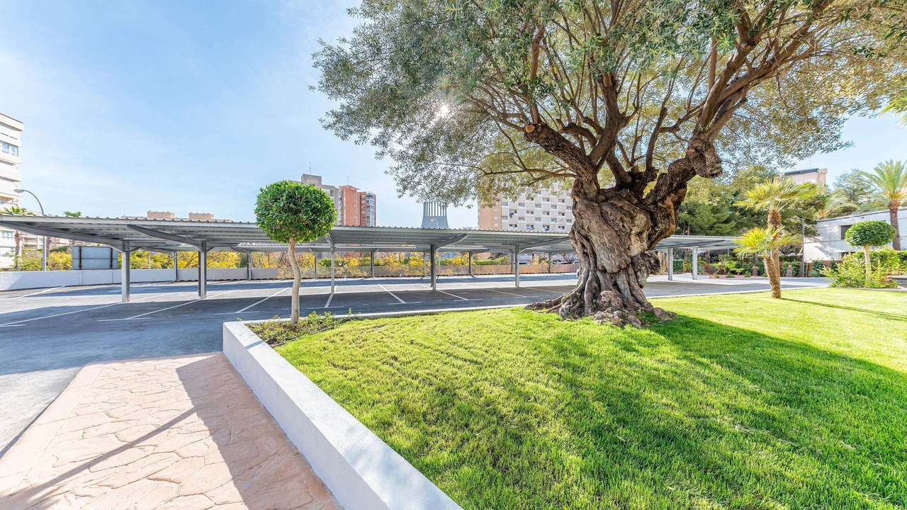 Photo of Outdoor in Playa de San Juan
