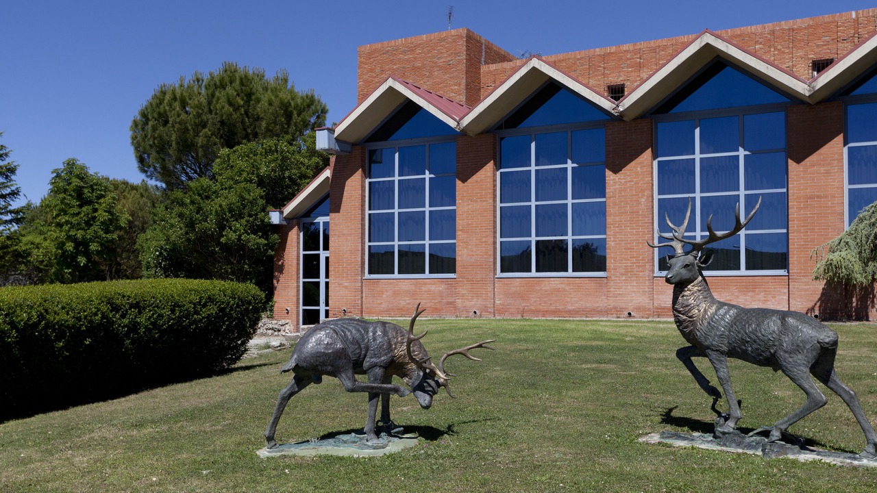 Photo of Outdoor in Rubena