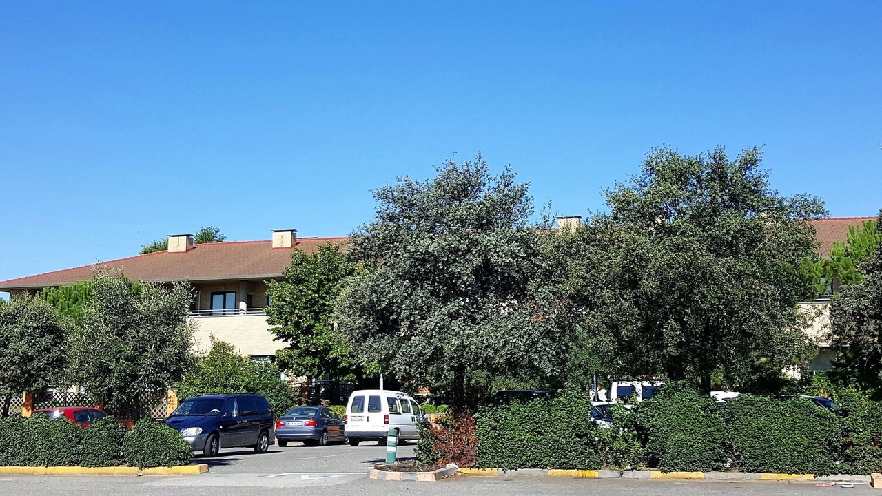 Photo of Outdoor in Cintruenigo
