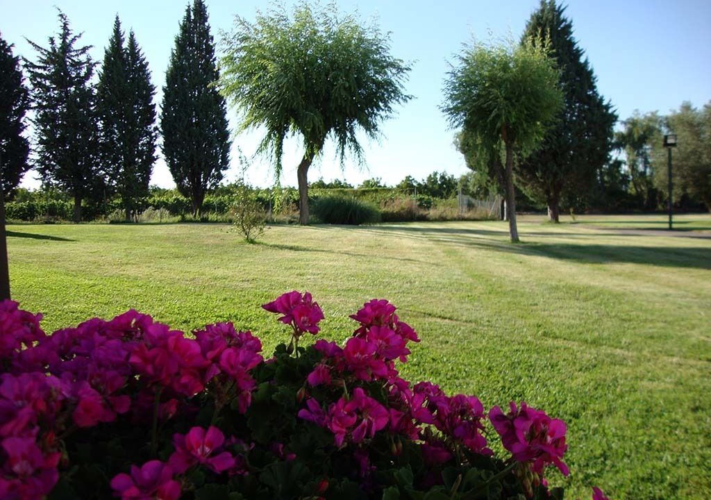 Photo of Outdoor in Navarrete