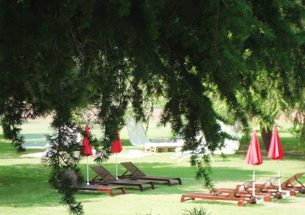 Photo of Outdoor in Navarrete