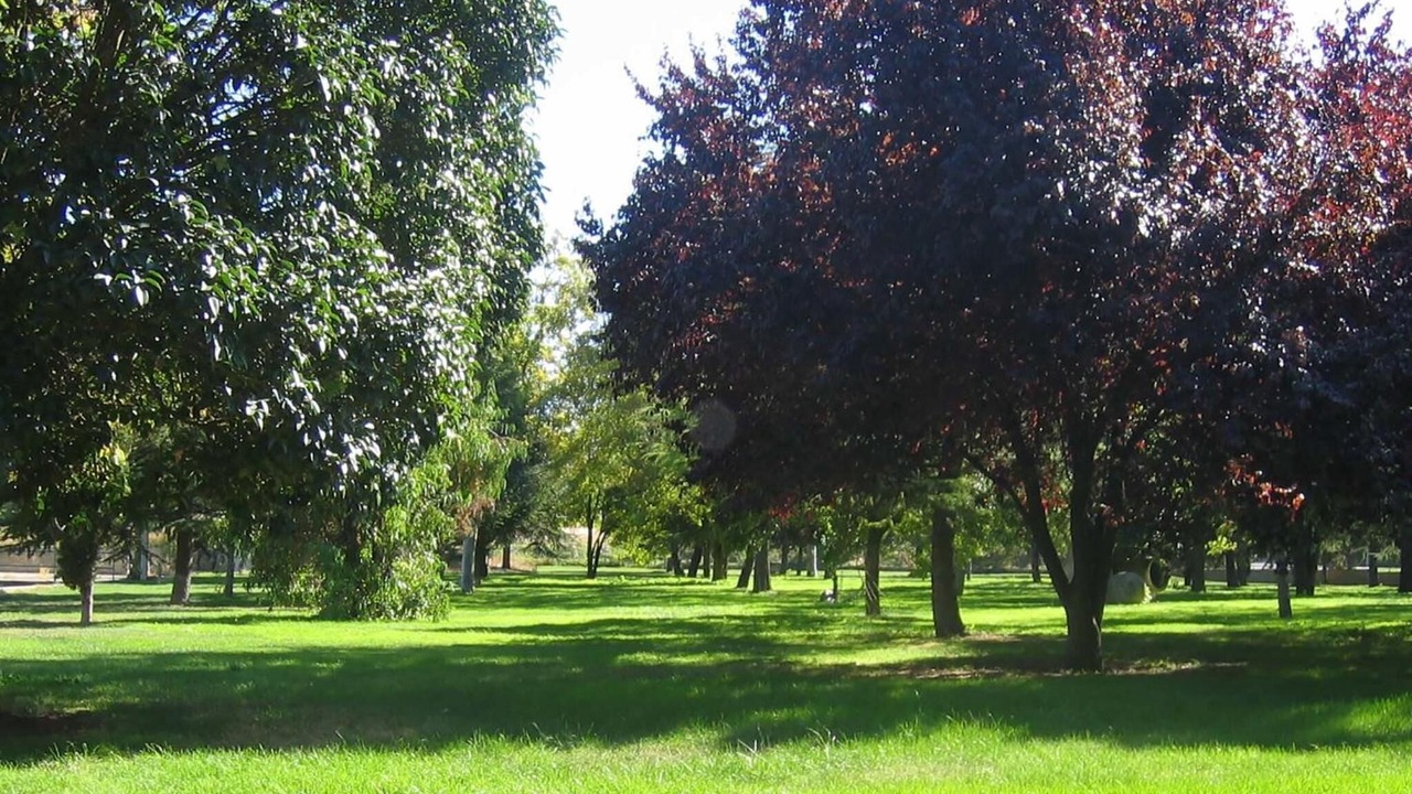 Photo of Outdoor in Navarrete