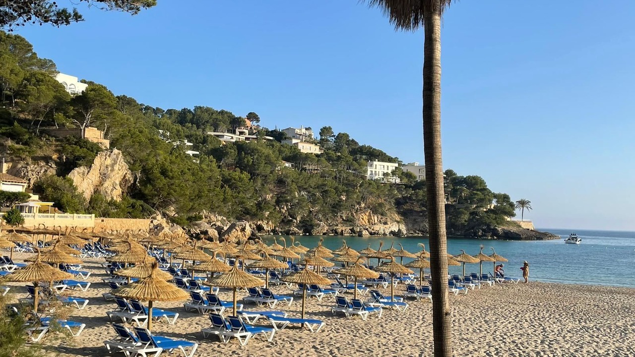 Photo of Others in Camp de Mar