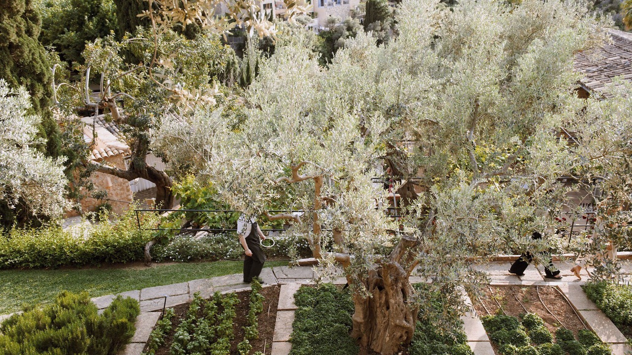 Photo of Outdoor in Deia