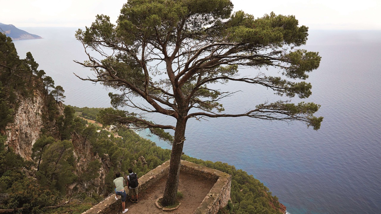 Photo of Others in Deia