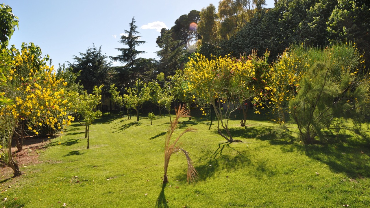 Photo of Outdoor in La Selva del Camp