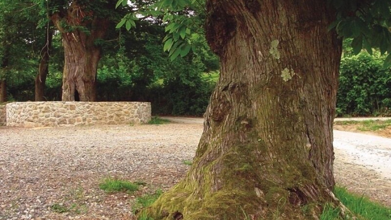 Photo of Outdoor in Coviella