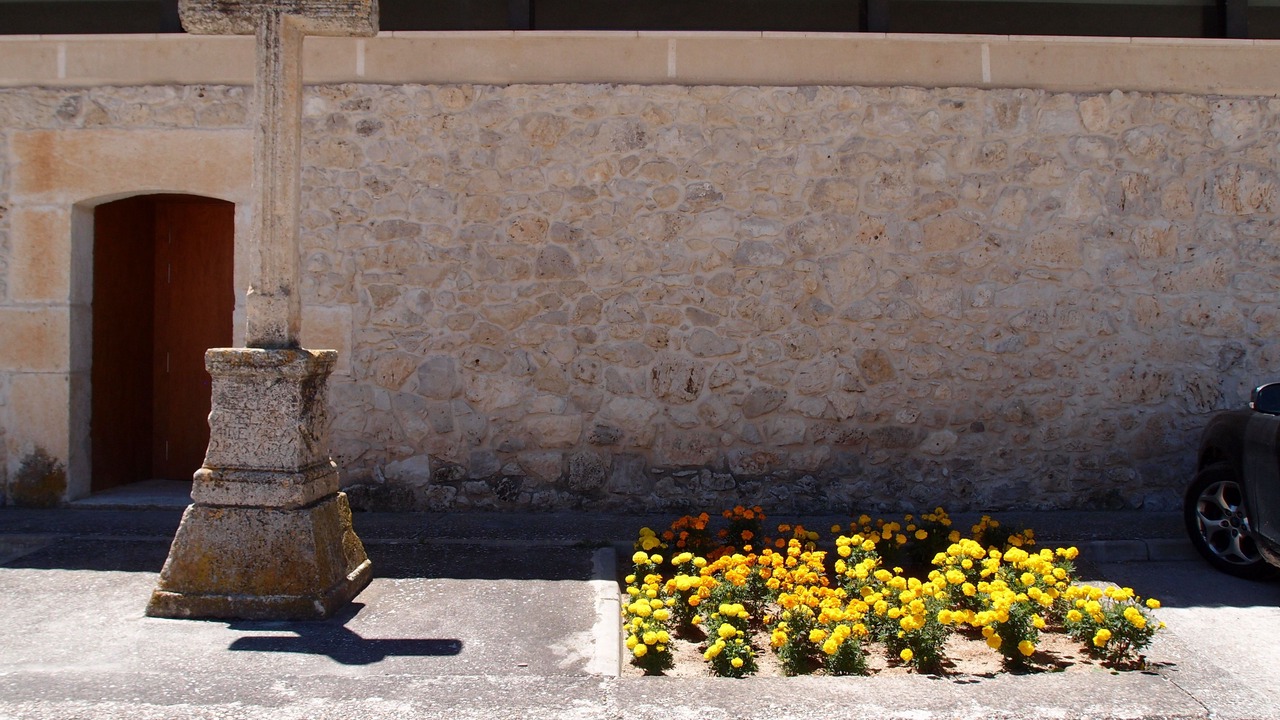 Photo of Outdoor in Aldeyuso