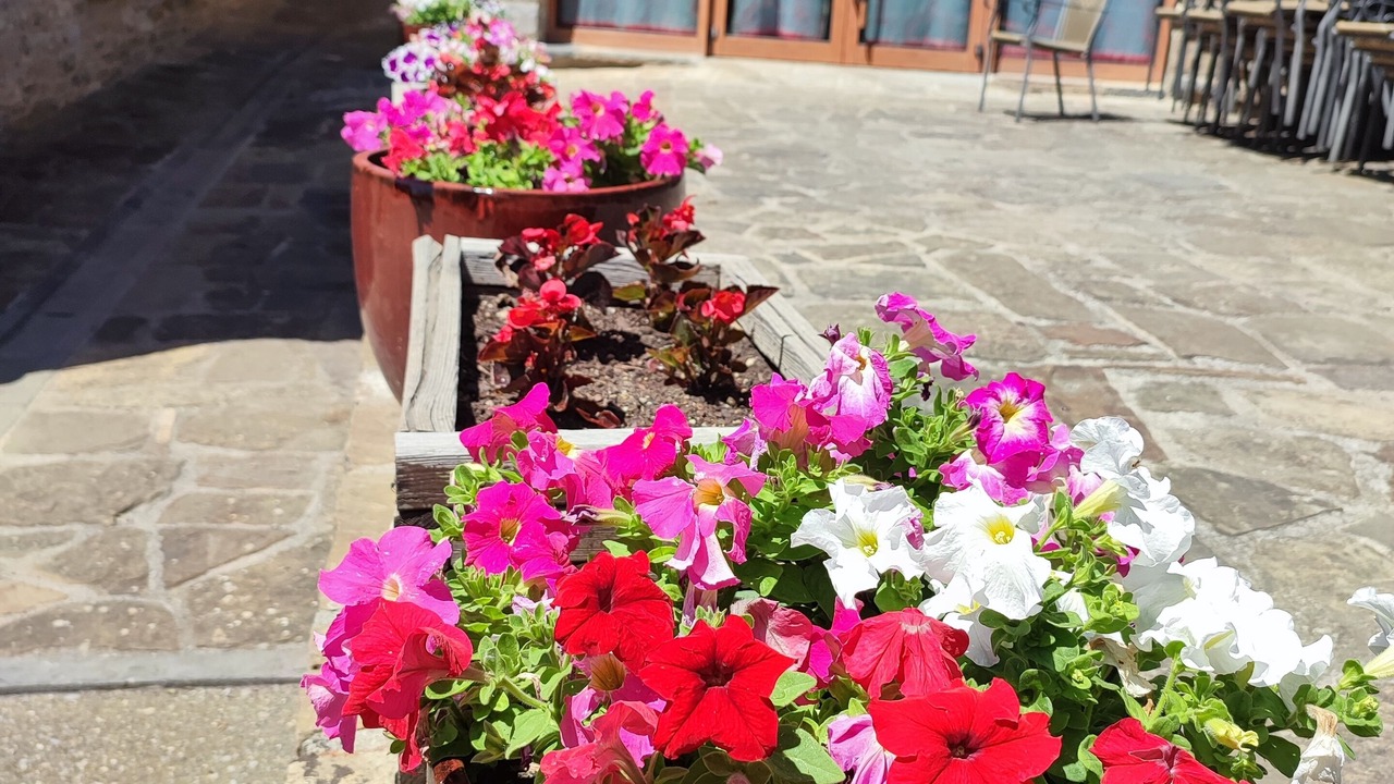 Photo of Outdoor in Gerbe