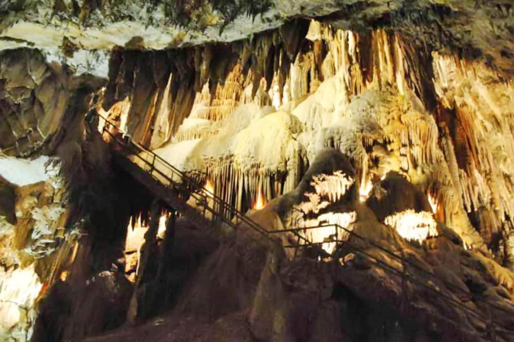 Photo of Others in Villamanin