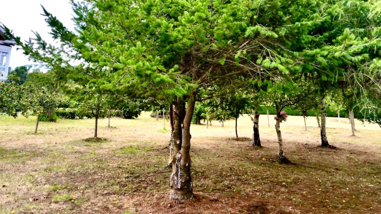Photo of Outdoor in Ribadeo