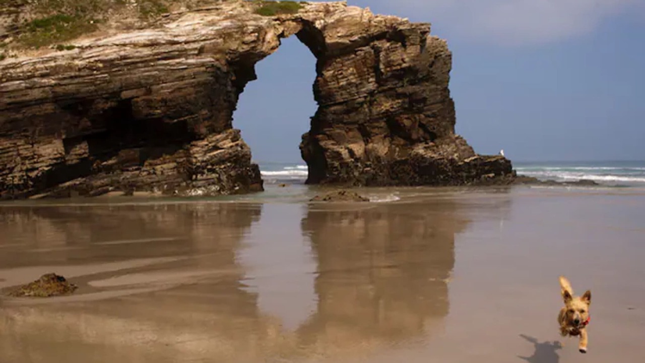 Photo of Others in Ribadeo