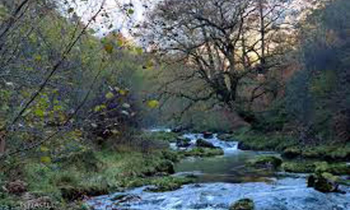 Photo of Outdoor in Cangas de Onis