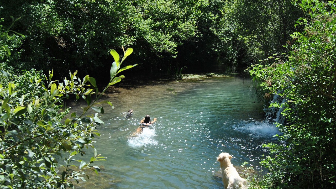 Photo of Outdoor in Reocin de los Molinos