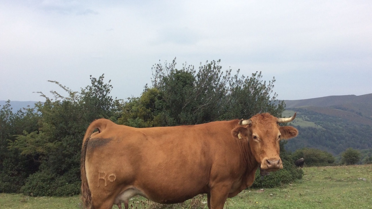 Photo of Outdoor in Reocin de los Molinos