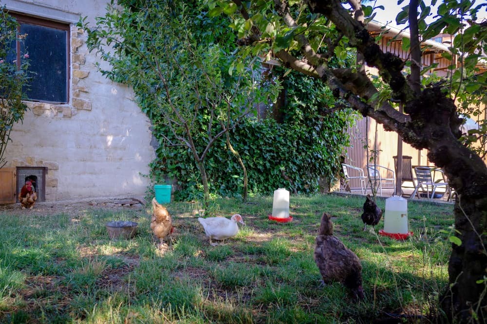 Photo of Outdoor in Vitigudino