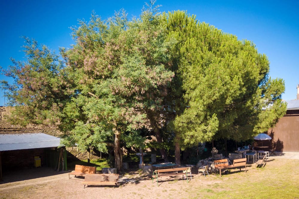Photo of Outdoor in Vitigudino