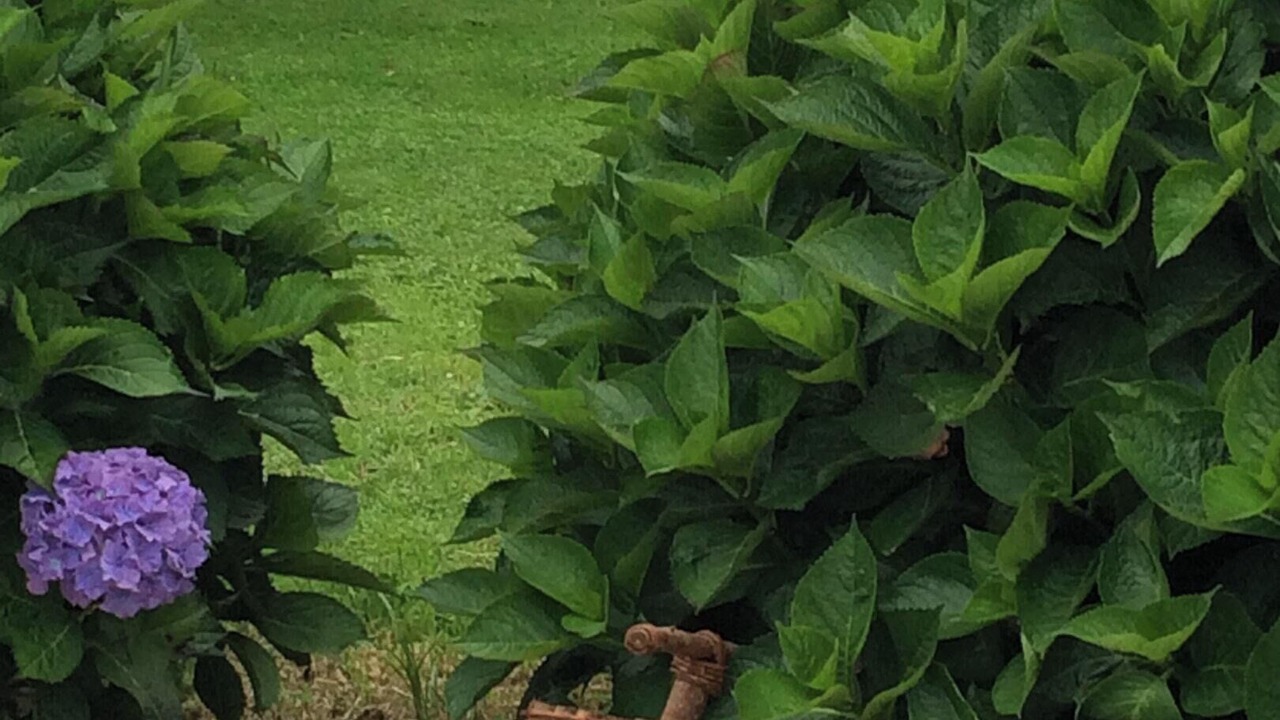 Photo of Outdoor in Canedo