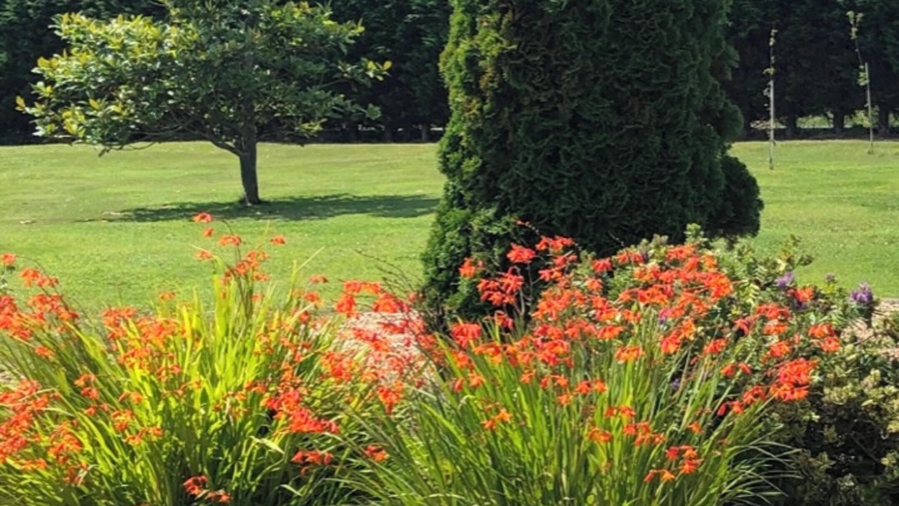Photo of Outdoor in Canedo