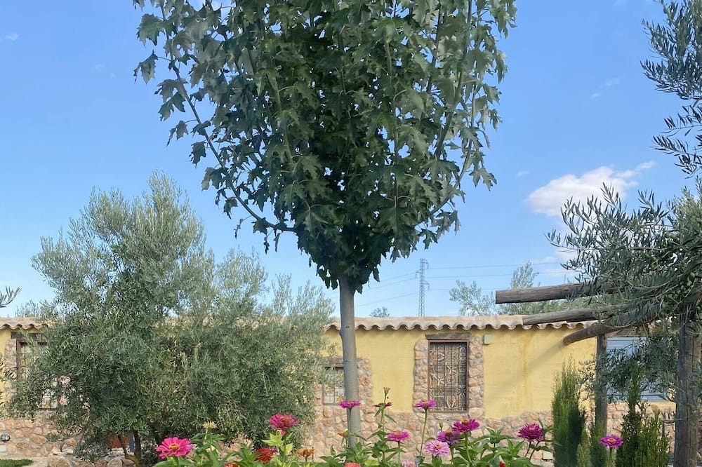 Photo of Outdoor in Baza