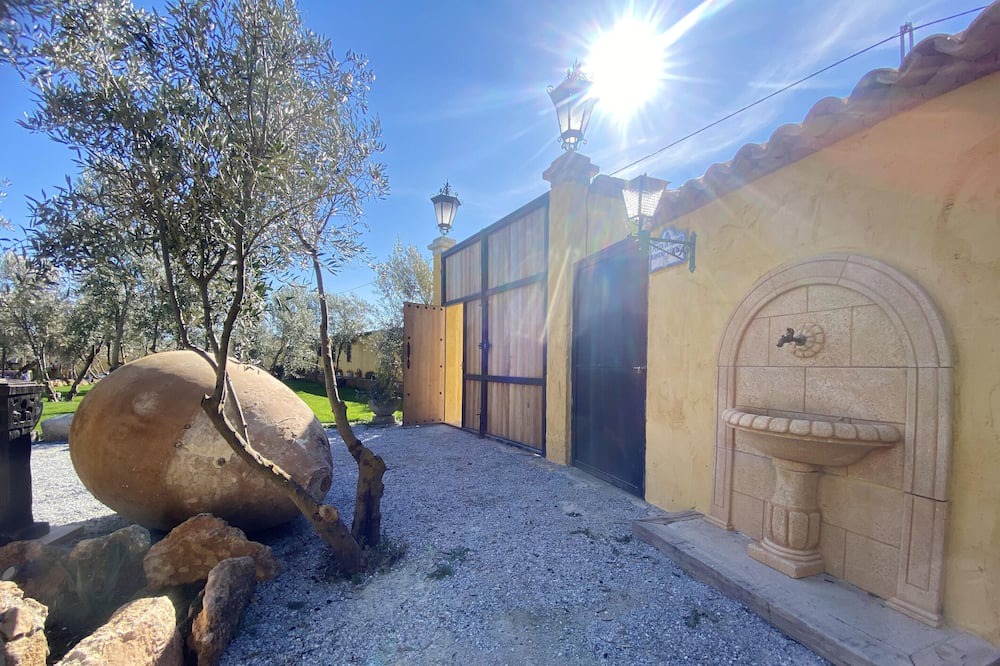 Photo of Others in Baza