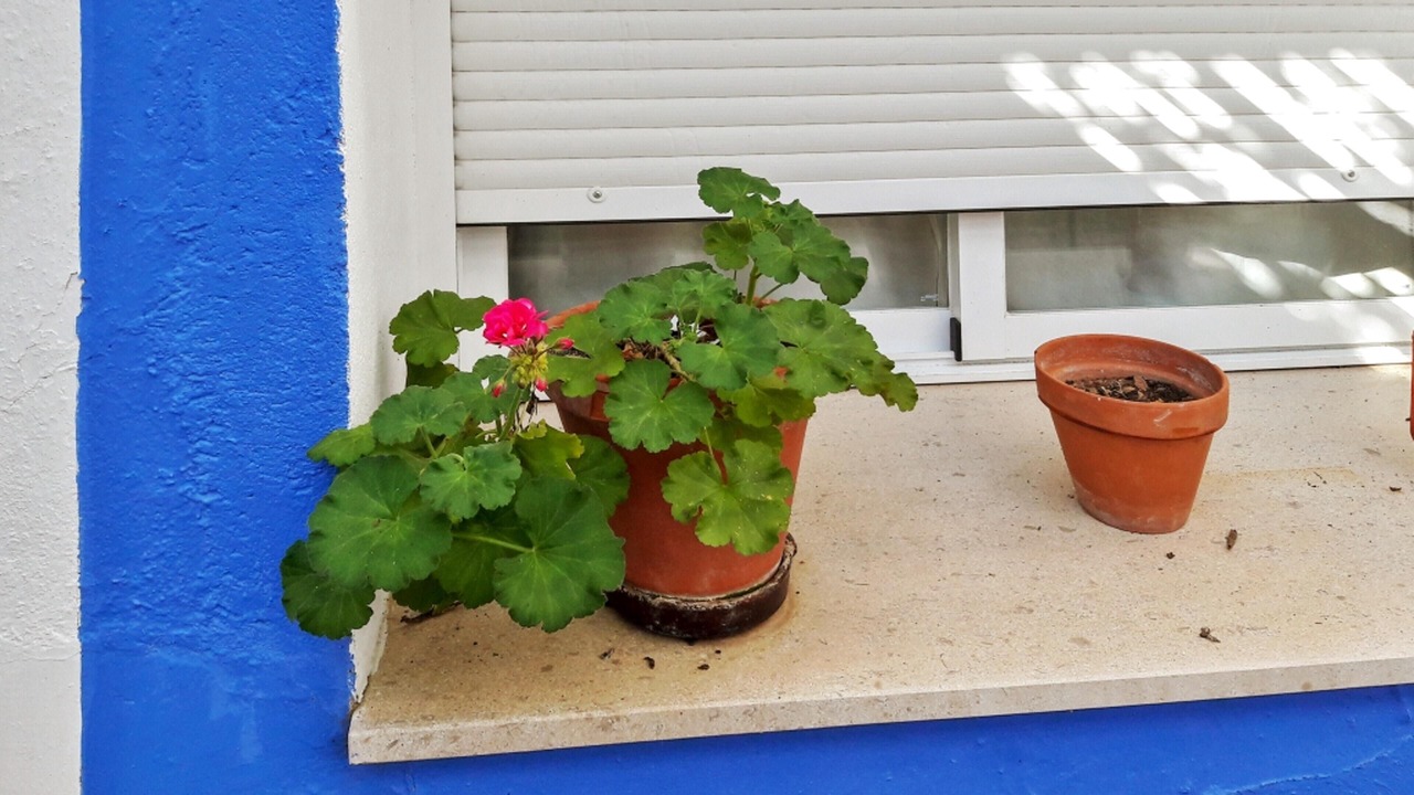 Photo of Outdoor in Picon