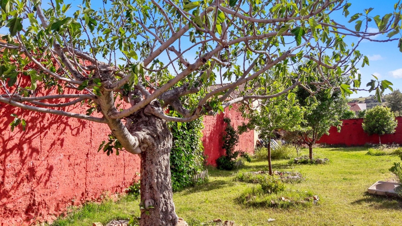 Photo of Outdoor in Picon