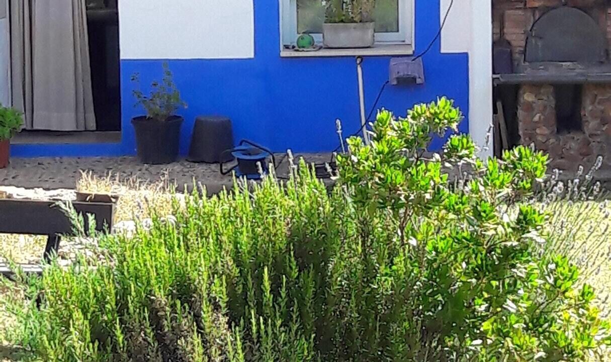 Photo of Outdoor in Picon