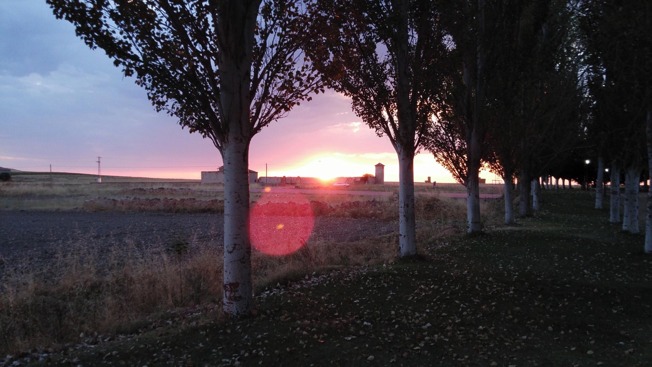 Photo of Others in Aldea Real