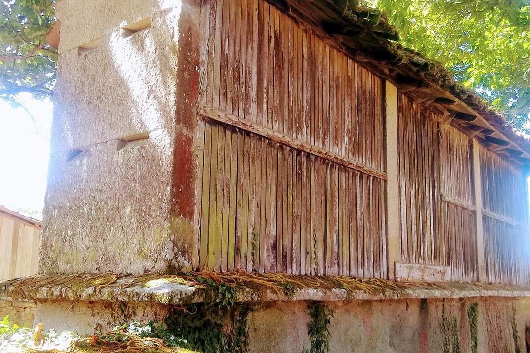 Photo of Others in Triacastela