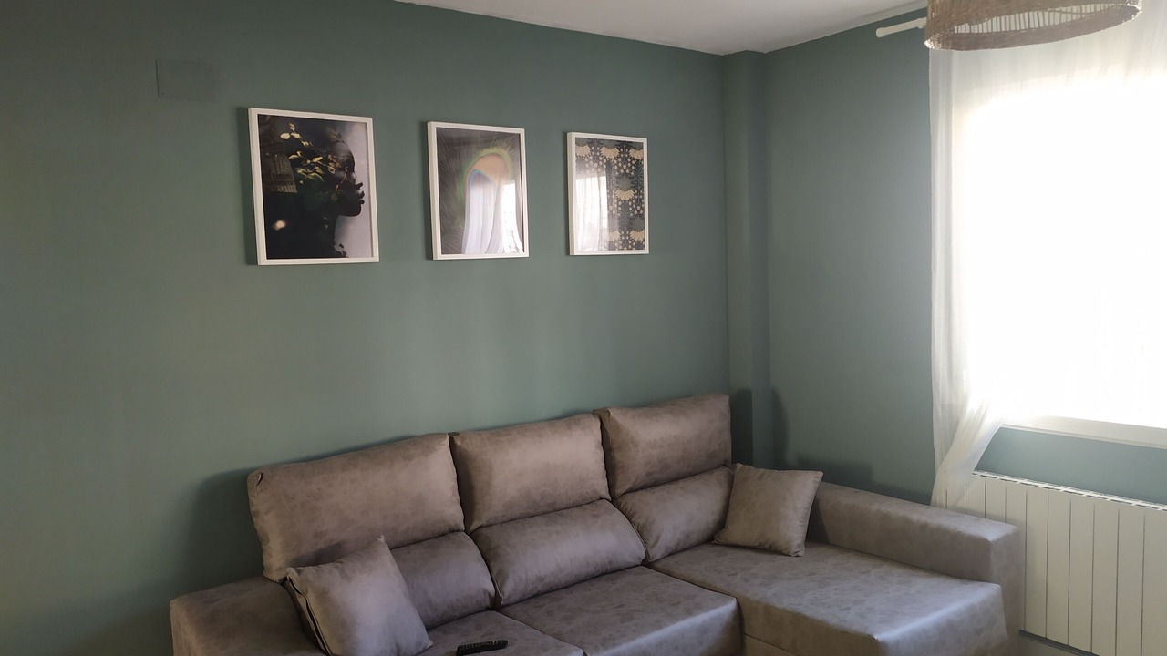 Photo of Livingroom in Manzanares